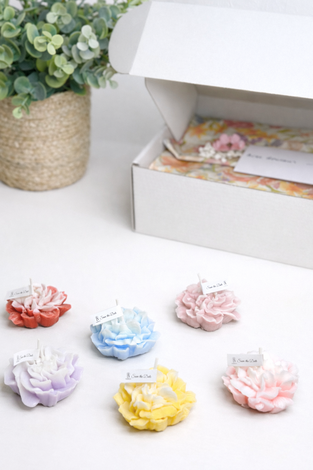 🤍 Soutien – Accompagner avec douceur et respect