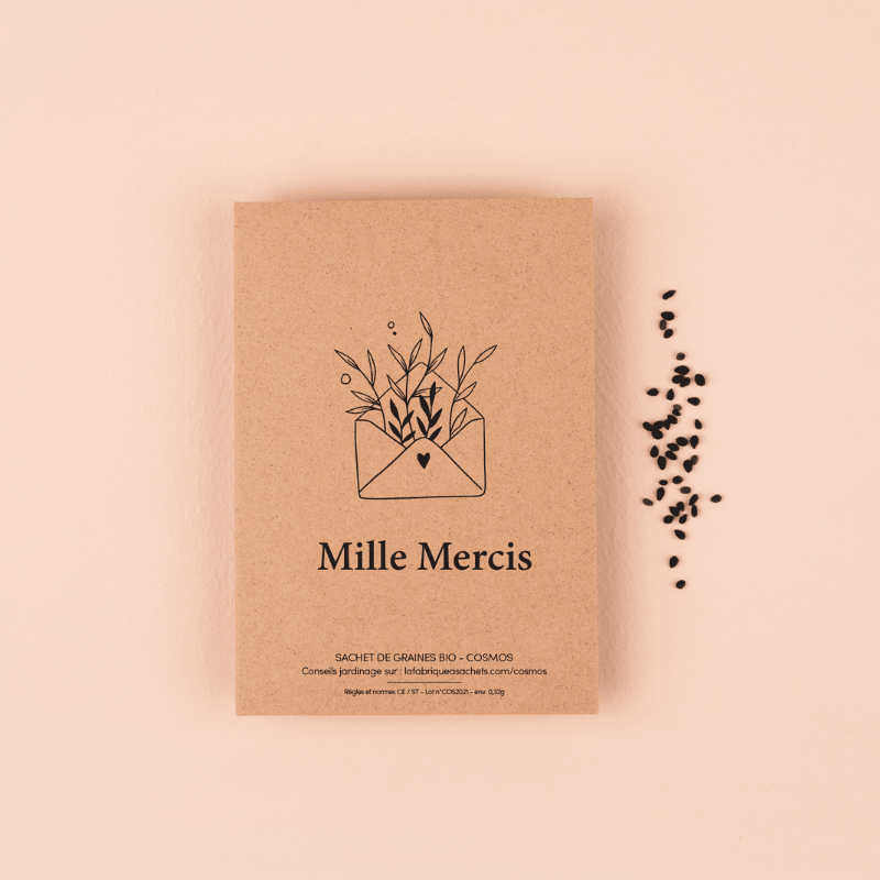 🌿 Gratitude – Un merci silencieux qui touche le cœur